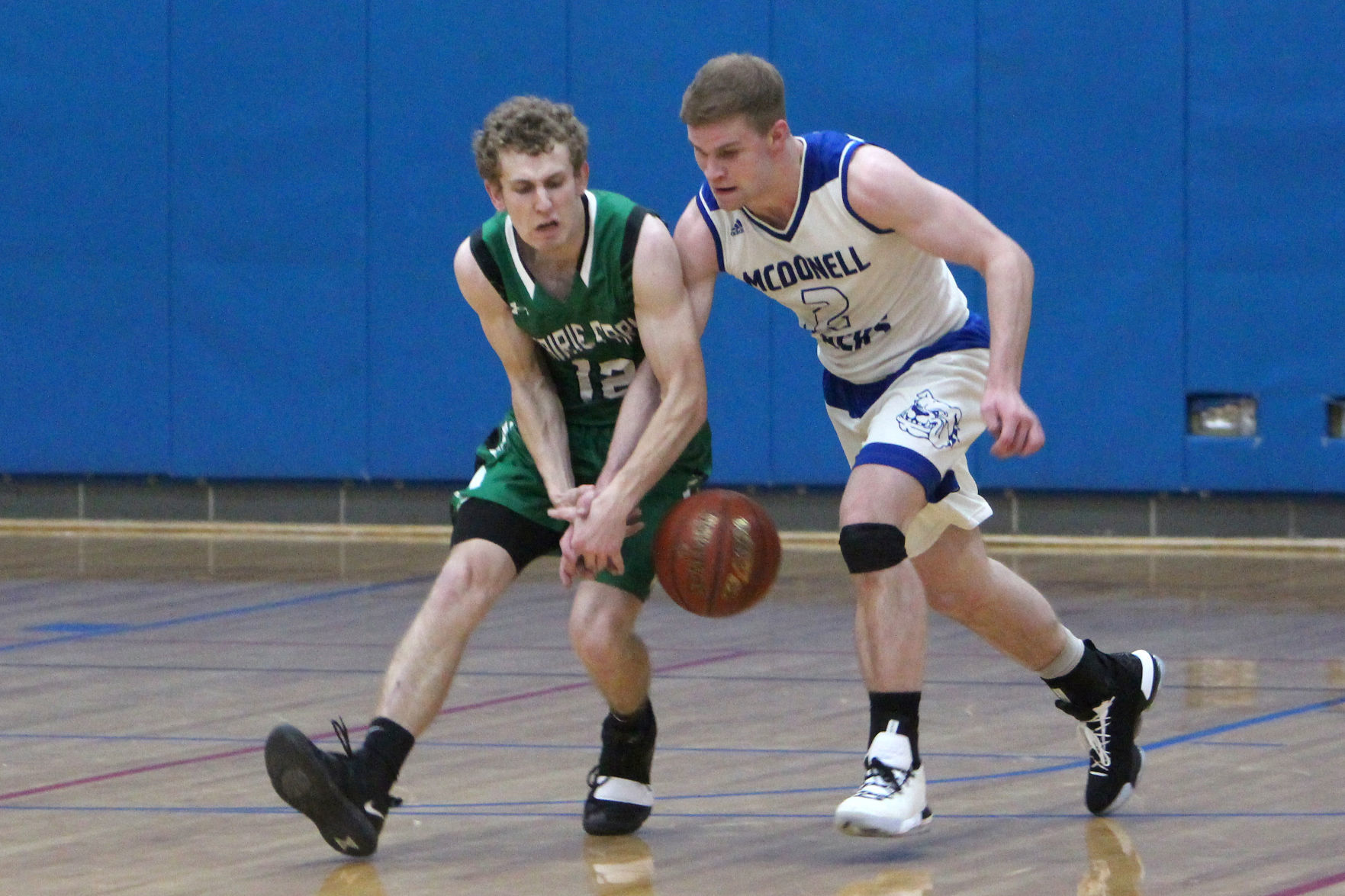 Prairie Farm at McDonell boys basketball 2-26-19